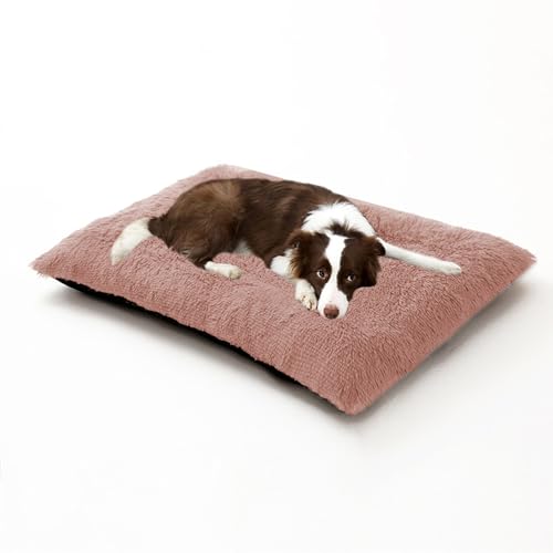 Waschbare, rechteckige Hundebetten, beruhigende, flauschige Haustiermatratze, Anti-Angst-Hundematratze, orthopädische Haustier-Sofabetten, Welpen-Kissen mit rutschfester Unterseite (65 x 48 x 8 cm Waschbare, rechteckige Hundebetten, beruhigende, flauschige Haustiermatratze, Anti-Angst-Hundematratze, orthopädische Haustier-Sofabetten, Welpen-Kissen mit rutschfester Unterseite (65 x 48 x 8 cm von DUOLEH