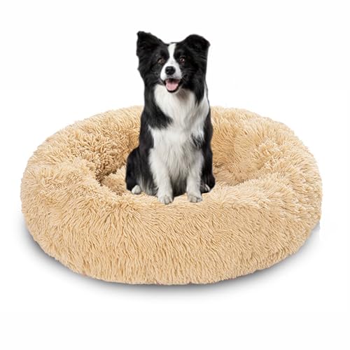Waschbare Anti-Angst-Hundebetten für den Innenbereich, beruhigendes Hundebett, flauschiger Plüsch, runde Kuschelmatratze, wärmendes Donut-Kissen mit rutschfester Unterseite (60 x 60 x 20 cm, Beige) Waschbare Anti-Angst-Hundebetten für den Innenbereich, beruhigendes Hundebett, flauschiger Plüsch, runde Kuschelmatratze, wärmendes Donut-Kissen mit rutschfester Unterseite (60 x 60 x 20 cm, Beige) von DUOLEH