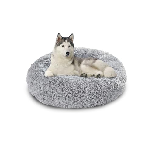 Waschbares großes Hundebett, orthopädische, beruhigende Hundebetten, Matratze, Matten, wärmende Donut-Kissen für den Innenbereich, rutschfestes Haustierkissen für Käfig (150 x 150 x 20 cm, Hellgrau) Waschbares großes Hundebett, orthopädische, beruhigende Hundebetten, Matratze, Matten, wärmende Donut-Kissen für den Innenbereich, rutschfestes Haustierkissen für Käfig (150 x 150 x 20 cm, Hellgrau) von DUOLEH