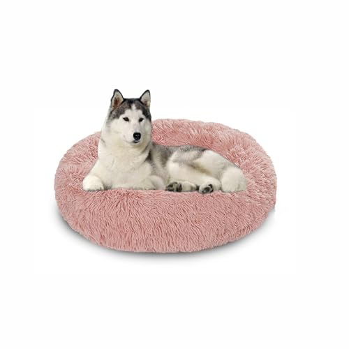 Waschbares großes Hundebett, orthopädische, beruhigende Hundebetten, Matratze, Matten, wärmende Donut-Kissen für den Innenbereich, rutschfestes Haustierkissen für Käfig (150 x 150 x 20 cm, Rosa) Waschbares großes Hundebett, orthopädische, beruhigende Hundebetten, Matratze, Matten, wärmende Donut-Kissen für den Innenbereich, rutschfestes Haustierkissen für Käfig (150 x 150 x 20 cm, Rosa) von DUOLEH