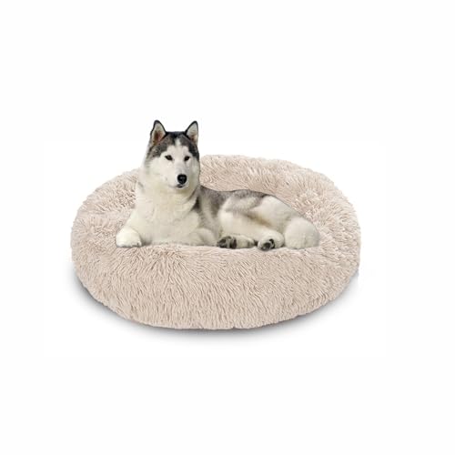 Waschbares großes Hundebett, orthopädische, beruhigende Hundebetten, Matratze, Matten, wärmende Donut-Kissen für den Innenbereich, rutschfestes Haustierkissen für Käfig (150 x 150 x 20 cm, gebrochenes Waschbares großes Hundebett, orthopädische, beruhigende Hundebetten, Matratze, Matten, wärmende Donut-Kissen für den Innenbereich, rutschfestes Haustierkissen für Käfig (150 x 150 x 20 cm, gebrochenes von DUOLEH