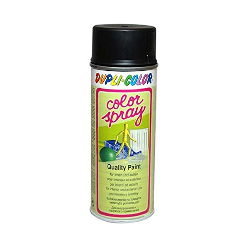 Dupli-Color 673740 Color-Spray, 400 ml, Mintgrün Glanz von DUPLI-COLOR