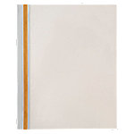 DURABLE Schnellhefter Durabind DIN A4 Weiß PVC DURABLE Schnellhefter Durabind DIN A4 Weiß PVC von DURABLE