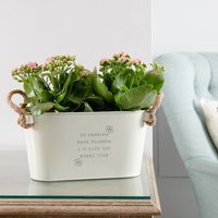 Blumentopf Mit Gravur „If Nannies Were Flowers I'd Pick You" - Einzigartiger Kräutertopf Für Drinnen Und Draußen Geburtstags- Oder von DUSTandTHINGS