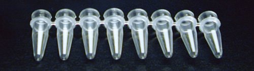 DUTSCHER 038628 Microtube 0,2 ml E.U. in Streifen High Form + Markierungsfläche lila von DUTSCHER