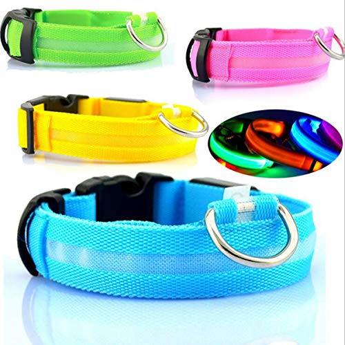 LED Hundehalsband aus Nylon, blinkendes Sicherheits-Halsband, Fluoreszierende leuchtende Hundehalsbänder für Haustiere (Orange, L) von DUVERT