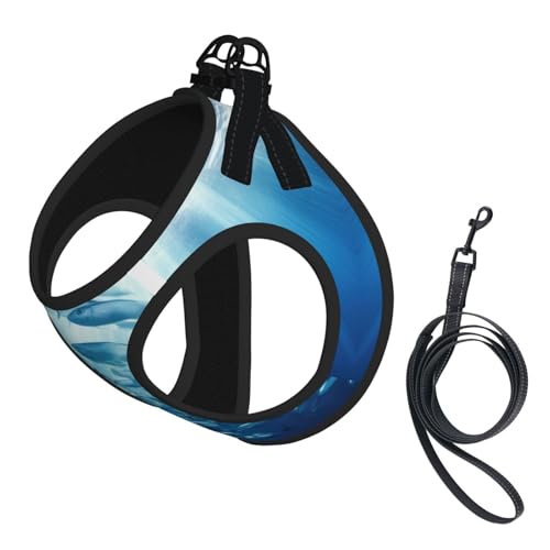 Blue Ocean Unterwasserfisch-Geschirr für kleine Hunde mit Leine, kein Entkommen, leichtes Gehen, Welpengeschirr für Training und Spaziergang von DUWAA