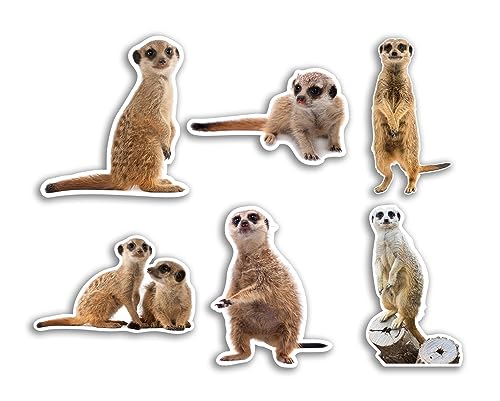 6 x 10 cm Erdmännchen Vinyl Aufkleber – Safari Zoo Wildtiere Tier Lustiges Muster Natur Haustiere Gesicht Wild Mädchen Jungen Reise Scrapbooking #80791 6 x 10 cm Erdmännchen Vinyl Aufkleber – Safari Zoo Wildtiere Tier Lustiges Muster Natur Haustiere Gesicht Wild Mädchen Jungen Reise Scrapbooking #80791 von DV DESIGN