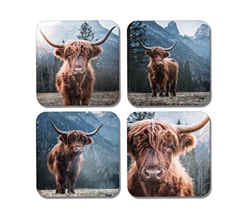 DV DESIGN 4 x quadratische Highland-Kühe Untersetzer – Tiere Rinder schottische Kuh Untersetzer Geschenk #77889 von DV DESIGN