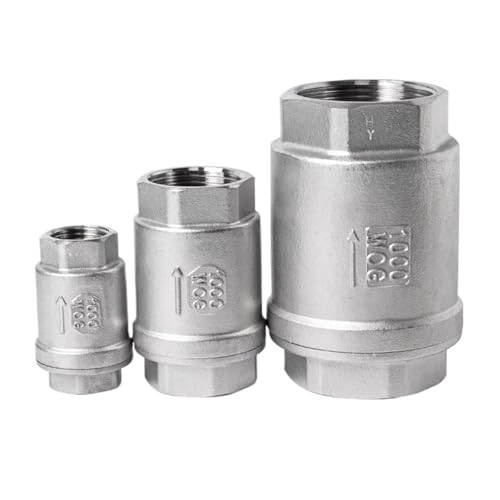 1/4 "3/8" 1/2 "1" 3/4 "2" BSPT stainless steel SS304 SS316 internal thread vertical lifting inline spring check valve DN15 DN25(2",SS316L) von DVFUCUECE
