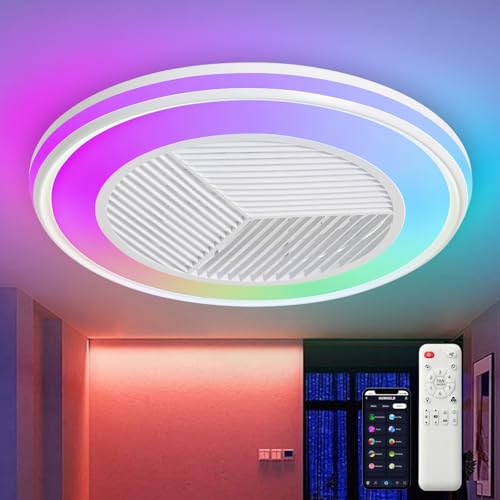 DWDVBL Moderne RGB Deckenventilator mit Beleuchtung φ50cm RGB LED Fan Licht mit Fernbedienung Timer 6 Geschwindigkeiten Stufenloses Dimmen Deckenventilator mit Lampe von DWDVBL