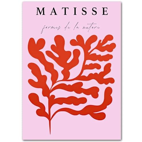 DWJOJ LJQIA Matisse Poster und Drucke Matisse Leinwand Gemälde Rote Pflanzen Wandkunst Abstrakte Wandbilder für Wohnzimmer Wohnkultur 60x90cm Kein Rahmen von DWJOJ LJQIA