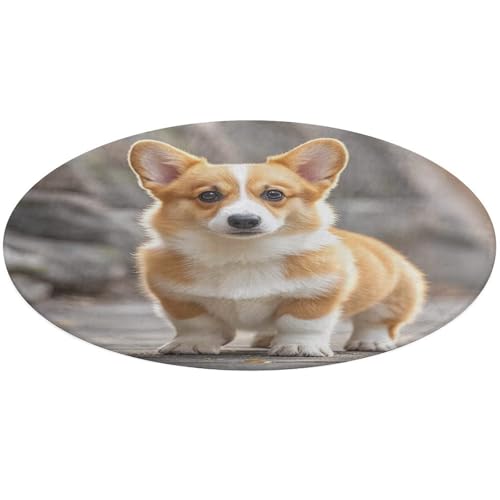 Corgi Hunde-Teppich, rund, weich, saugfähig, Badematte, Eingangsbereich, rutschfest, Bauernhaus, 60 x 60 cm, für Schlafzimmer, Wohnzimmer, Heimdekoration Corgi Hunde-Teppich, rund, weich, saugfähig, Badematte, Eingangsbereich, rutschfest, Bauernhaus, 60 x 60 cm, für Schlafzimmer, Wohnzimmer, Heimdekoration von DWTJKMS