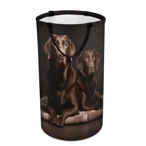 DWTJKMS Brauner Labrador Retriever Wäschekorb, zusammenklappbarer Wäschekorb mit einfachen Tragegriffen, großer Aufbewahrungskorb für Waschküche, Wohnheim, Familie DWTJKMS Brauner Labrador Retriever Wäschekorb, zusammenklappbarer Wäschekorb mit einfachen Tragegriffen, großer Aufbewahrungskorb für Waschküche, Wohnheim, Familie von DWTJKMS