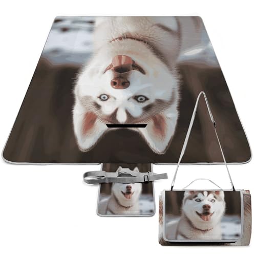 DWTJKMS Husky Picknickmatte für Hunde, faltbar, wasserdicht, mit Tragetasche, groß, Outdoor-Picknick-Matten, 147,3 x 147,3 cm, Campingdecke für Strand, Park, Reisen DWTJKMS Husky Picknickmatte für Hunde, faltbar, wasserdicht, mit Tragetasche, groß, Outdoor-Picknick-Matten, 147,3 x 147,3 cm, Campingdecke für Strand, Park, Reisen von DWTJKMS