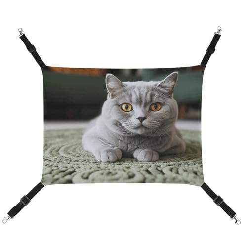 DWTJKMS Katze auf Teppich Katzenhängematte Weiche Schlafhängematten Verstellbare Haustierhängematte Ganzjahresgebrauch für Katzen, Frettchen, Welpen, Kaninchen, Kleintiere (klassisch) von DWTJKMS