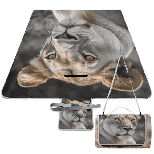 DWTJKMS Lioness Picknickmatte, faltbar, wasserdicht, Sandmatte mit Tragetasche, große Outdoor-Picknick-Matten, 147,3 x 147,3 cm, Campingdecke für Strand, Park, Reisen DWTJKMS Lioness Picknickmatte, faltbar, wasserdicht, Sandmatte mit Tragetasche, große Outdoor-Picknick-Matten, 147,3 x 147,3 cm, Campingdecke für Strand, Park, Reisen von DWTJKMS