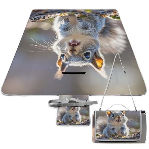 DWTJKMS Lustige süße Picknickmatte mit Eichhörnchen, faltbar, wasserdicht, mit Tragetasche, große Outdoor-Picknick-Matten, 147,3 x 147,3 cm, Campingdecke für Strand, Park, Reisen DWTJKMS Lustige süße Picknickmatte mit Eichhörnchen, faltbar, wasserdicht, mit Tragetasche, große Outdoor-Picknick-Matten, 147,3 x 147,3 cm, Campingdecke für Strand, Park, Reisen von DWTJKMS