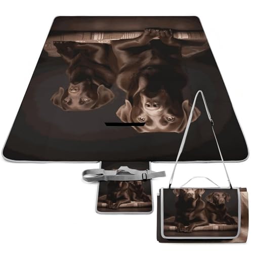 DWTJKMS Picknick-Matte mit Labrador-Retriever, faltbar, wasserdicht, mit Tragetasche, groß, Outdoor-Picknick-Matten, 147,3 x 147,3 cm, Campingdecke für Strand, Park, Reisen DWTJKMS Picknick-Matte mit Labrador-Retriever, faltbar, wasserdicht, mit Tragetasche, groß, Outdoor-Picknick-Matten, 147,3 x 147,3 cm, Campingdecke für Strand, Park, Reisen von DWTJKMS