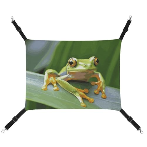 DWTJKMS Tree Frog Baby Katze Hängematte Weiche Schlafhängematten Verstellbare Haustier Hängematte Ganzjahresgebrauch für Katzen, Frettchen, Welpen, Kaninchen, Kleintiere (klassisch) von DWTJKMS