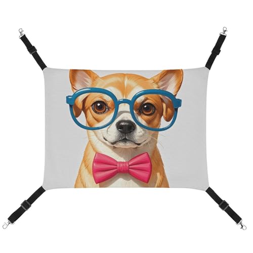DWTJKMS Weiche Fliege für Haustiere, übergroße Brille, Katzenhängematte, weiche Schlafhängematten, verstellbare Haustier-Hängematte, ganzjähriger Gebrauch für Katzen, Frettchen, Welpen, Kaninchen von DWTJKMS