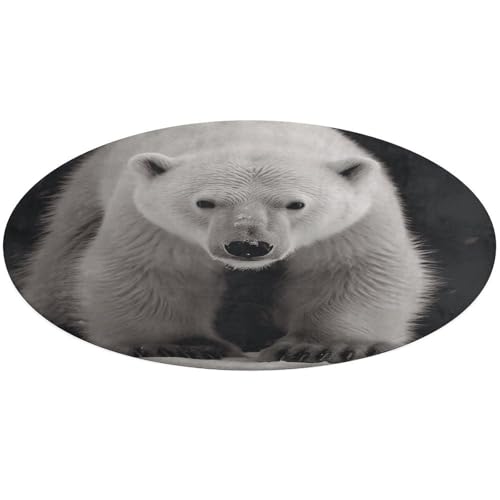 Eisbär-Teppich, weich, saugfähig, Badematte, Eingangsbereich, rutschfest, Bauernhaus, 60 x 60 cm, für Schlafzimmer, Wohnzimmer, Heimdekoration Eisbär-Teppich, weich, saugfähig, Badematte, Eingangsbereich, rutschfest, Bauernhaus, 60 x 60 cm, für Schlafzimmer, Wohnzimmer, Heimdekoration von DWTJKMS