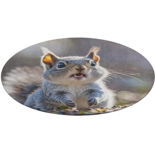 Lustiger niedlicher Eichhörnchen-Teppich, weich, saugfähig, Badematte, Eingang, rutschfest, Bauernhaus, Haustürmatte, 60 x 60 cm, für Schlafzimmer, Wohnzimmer, Heimdekoration Lustiger niedlicher Eichhörnchen-Teppich, weich, saugfähig, Badematte, Eingang, rutschfest, Bauernhaus, Haustürmatte, 60 x 60 cm, für Schlafzimmer, Wohnzimmer, Heimdekoration von DWTJKMS