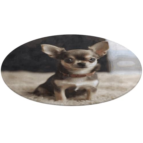 Niedlicher Chihuahua-Teppich, weich, saugfähig, Badematte, Eingangsbereich, rutschfest, Bauernhaus, 90 x 90 cm, für Schlafzimmer, Wohnzimmer, Heimdekoration Niedlicher Chihuahua-Teppich, weich, saugfähig, Badematte, Eingangsbereich, rutschfest, Bauernhaus, 90 x 90 cm, für Schlafzimmer, Wohnzimmer, Heimdekoration von DWTJKMS