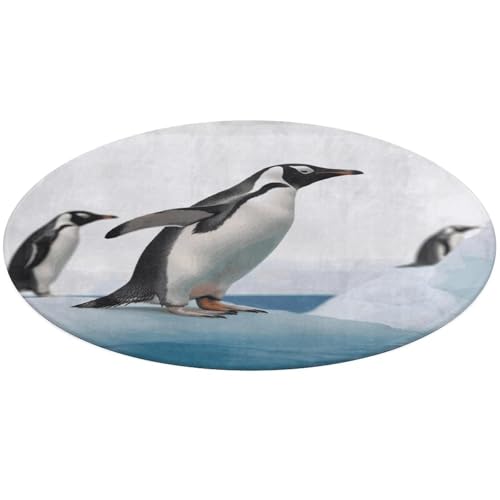 Runder Pinguin-Teppich, weich, saugfähig, Badematte, Eingangsbereich, rutschfest, Bauernhaus, 80 x 80 cm, für Schlafzimmer, Wohnzimmer, Heimdekoration Runder Pinguin-Teppich, weich, saugfähig, Badematte, Eingangsbereich, rutschfest, Bauernhaus, 80 x 80 cm, für Schlafzimmer, Wohnzimmer, Heimdekoration von DWTJKMS