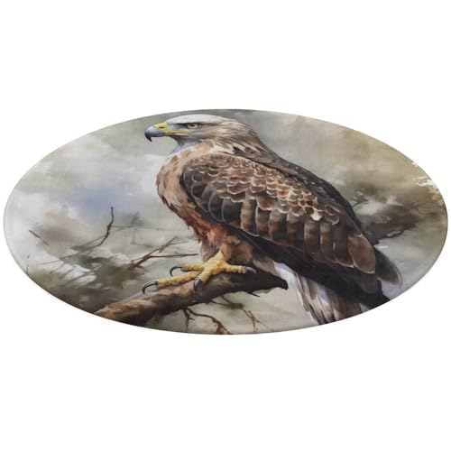 Runder Teppich, Motiv: Hawk sitzend im Baum, weich, saugfähig, für Eingangsbereich, rutschfest, Bauernhaus, 90 x 90 cm, für Schlafzimmer, Wohnzimmer, Heimdekoration von DWTJKMS