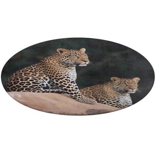 Runder Teppich, afrikanischer Leopard auf Felsen, weich, saugfähig, Badematte, Eingangsbereich, rutschfest, Bauernhaus, 60 x 60 cm, für Schlafzimmer, Wohnzimmer, Heimdekoration Runder Teppich, afrikanischer Leopard auf Felsen, weich, saugfähig, Badematte, Eingangsbereich, rutschfest, Bauernhaus, 60 x 60 cm, für Schlafzimmer, Wohnzimmer, Heimdekoration von DWTJKMS