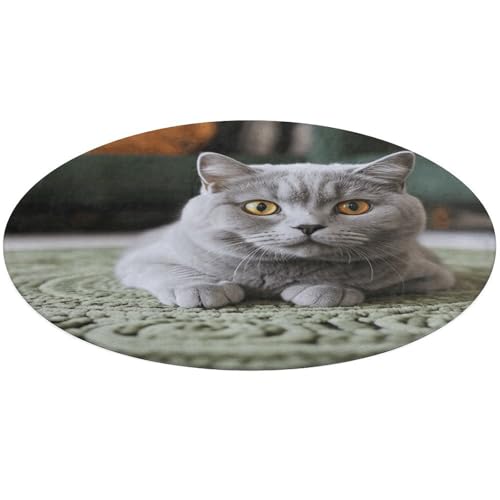 Runder Teppich mit Katze auf Teppich, weich, saugfähig, Badematte, Eingangsbereich, rutschfest, Bauernhaus, 60 x 60 cm, für Schlafzimmer, Wohnzimmer, Heimdekoration Runder Teppich mit Katze auf Teppich, weich, saugfähig, Badematte, Eingangsbereich, rutschfest, Bauernhaus, 60 x 60 cm, für Schlafzimmer, Wohnzimmer, Heimdekoration von DWTJKMS