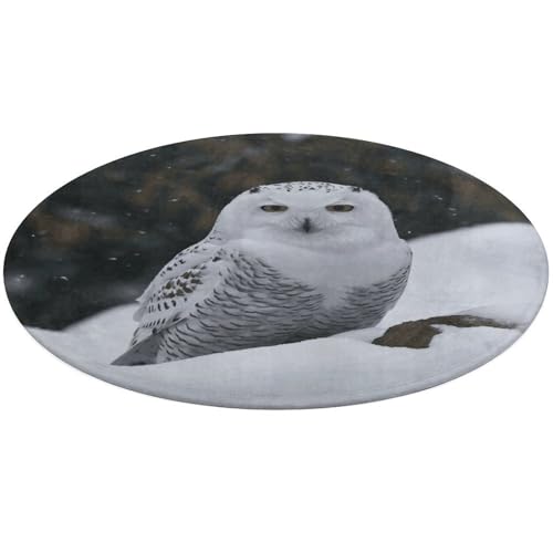 Runder Teppich mit Schnee-Eule, weich, saugfähig, Badematte, Eingangsbereich, rutschfest, Bauernhaus, 60 x 60 cm, für Schlafzimmer, Wohnzimmer, Heimdekoration Runder Teppich mit Schnee-Eule, weich, saugfähig, Badematte, Eingangsbereich, rutschfest, Bauernhaus, 60 x 60 cm, für Schlafzimmer, Wohnzimmer, Heimdekoration von DWTJKMS