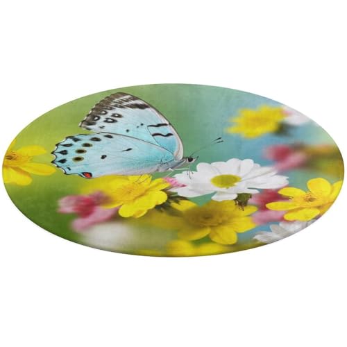 Spring Butterfly runder Teppich, weich, saugfähig, Badematte, Eingangsbereich, rutschfest, Bauernhaus, 80 x 80 cm, für Schlafzimmer, Wohnzimmer, Heimdekoration Spring Butterfly runder Teppich, weich, saugfähig, Badematte, Eingangsbereich, rutschfest, Bauernhaus, 80 x 80 cm, für Schlafzimmer, Wohnzimmer, Heimdekoration von DWTJKMS