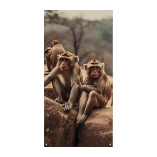 Affe sitzend auf Stein Türabdeckung Banner 90 x 180 cm Partybanner saisonales Willkommensschild vertikale Dekoration Türhänger für Veranda, Eingang, Gartendekoration von DWVSFJM