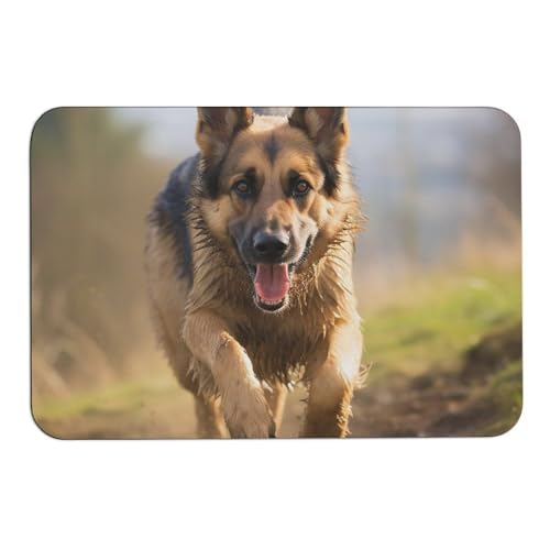 Badematte mit laufender Deutscher Schäferhund-Diatomee, absorbiert Feuchtigkeit und Schmutz, Fußmatte mit rutschfester Gummi-Unterseite, Bodenmatte passt unter die Tür, für Badezimmerboden, Badewanne Badematte mit laufender Deutscher Schäferhund-Diatomee, absorbiert Feuchtigkeit und Schmutz, Fußmatte mit rutschfester Gummi-Unterseite, Bodenmatte passt unter die Tür, für Badezimmerboden, Badewanne von DWVSFJM