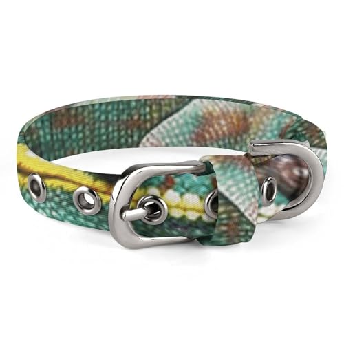 Chamäleon Hundehalsband, verstellbar, weich und bequem, Welpenhalsbänder mit Metallschnalle, Haustierhalsband für kleine, mittelgroße Haustiere von DWVSFJM