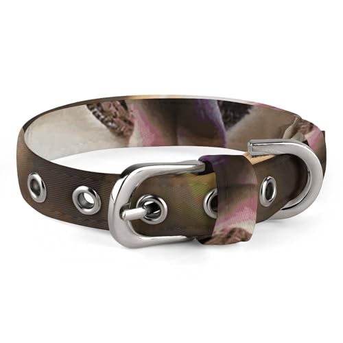 Corgi-Hundehalsband, verstellbar, weich und bequem, Welpenhalsbänder mit Metallschnalle, Haustierhalsband für kleine, mittelgroße Haustiere Corgi-Hundehalsband, verstellbar, weich und bequem, Welpenhalsbänder mit Metallschnalle, Haustierhalsband für kleine, mittelgroße Haustiere von DWVSFJM