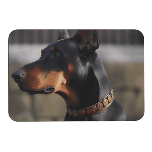 Doberman Diatomeen-Schlamm-Badematten absorbieren Feuchtigkeit und Schmutz, Fußmatte mit rutschfester Gummi-Unterseite, Bodenmatte passt unter die Tür, für Badezimmerboden, Badewanne, Dusche Doberman Diatomeen-Schlamm-Badematten absorbieren Feuchtigkeit und Schmutz, Fußmatte mit rutschfester Gummi-Unterseite, Bodenmatte passt unter die Tür, für Badezimmerboden, Badewanne, Dusche von DWVSFJM