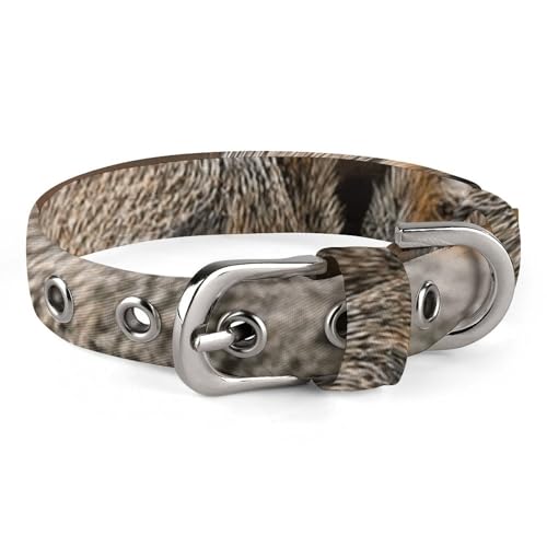 Eichhörnchen Just Laying Hundehalsband, verstellbar, weich und bequem, Welpenhalsbänder mit Metallschnalle, Haustierhalsband für kleine, mittelgroße Haustiere von DWVSFJM