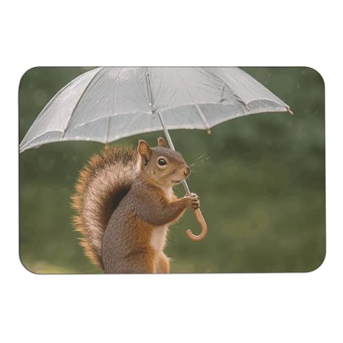 Eichhörnchen hält einen Regenschirm, Kieselalgen-Badematte, absorbiert Feuchtigkeit und Schmutz, Fußmatte mit rutschfester Gummi-Unterseite, Bodenmatte passt unter die Tür, für Badezimmerboden Eichhörnchen hält einen Regenschirm, Kieselalgen-Badematte, absorbiert Feuchtigkeit und Schmutz, Fußmatte mit rutschfester Gummi-Unterseite, Bodenmatte passt unter die Tür, für Badezimmerboden von DWVSFJM