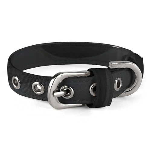Flip Flops Hundehalsband, verstellbar, weich und bequem, Welpenhalsbänder mit Metallschnalle, Haustierhalsband für kleine, mittelgroße Haustiere Flip Flops Hundehalsband, verstellbar, weich und bequem, Welpenhalsbänder mit Metallschnalle, Haustierhalsband für kleine, mittelgroße Haustiere von DWVSFJM