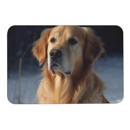 Golden Retriever Kieselalgen-Badematten absorbieren Feuchtigkeit und Schmutz, Fußmatte mit rutschfester Gummi-Unterseite, Bodenmatte passt unter die Tür, für Badezimmer, Boden, Badewanne, Dusche Golden Retriever Kieselalgen-Badematten absorbieren Feuchtigkeit und Schmutz, Fußmatte mit rutschfester Gummi-Unterseite, Bodenmatte passt unter die Tür, für Badezimmer, Boden, Badewanne, Dusche von DWVSFJM
