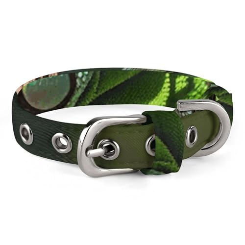 Green Geckos Hundehalsband, verstellbar, weich und bequem, Welpenhalsbänder mit Metallschnalle, Haustierhalsband für kleine, mittelgroße Haustiere von DWVSFJM