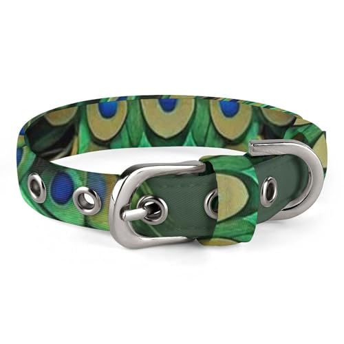 Hundehalsband Pfau mit Quasten, verstellbar, weich und bequem, Welpenhalsbänder mit Metallschnalle, Haustierhalsband für kleine, mittelgroße Haustiere Hundehalsband Pfau mit Quasten, verstellbar, weich und bequem, Welpenhalsbänder mit Metallschnalle, Haustierhalsband für kleine, mittelgroße Haustiere von DWVSFJM