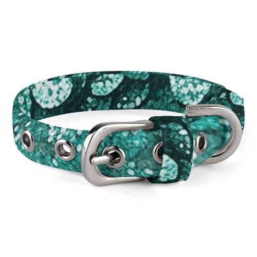 Hundehalsband mit Glitzer, verstellbar, weich und bequem, Welpenhalsbänder mit Metallschnalle, Haustierhalsband für kleine, mittelgroße Haustiere Hundehalsband mit Glitzer, verstellbar, weich und bequem, Welpenhalsbänder mit Metallschnalle, Haustierhalsband für kleine, mittelgroße Haustiere von DWVSFJM