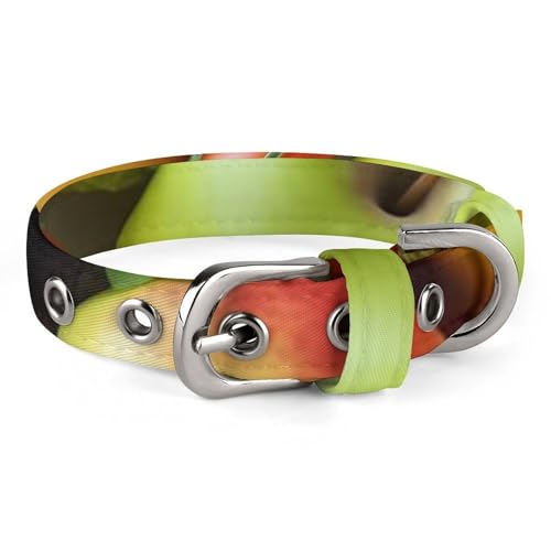 Hundehalsband mit frischem Obst und Gemüse, verstellbar, weich und bequem, Welpenhalsbänder mit Metallschnalle, Haustierhalsband für kleine, mittelgroße Haustiere von DWVSFJM