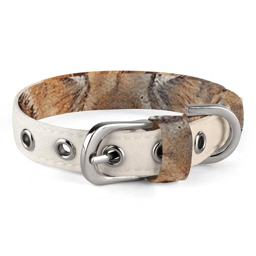 Hundehalsband mit kleinen Löwen, verstellbar, weich und bequem, Welpenhalsband mit Metallschnalle, Haustierhalsband für kleine, mittelgroße Haustiere Hundehalsband mit kleinen Löwen, verstellbar, weich und bequem, Welpenhalsband mit Metallschnalle, Haustierhalsband für kleine, mittelgroße Haustiere von DWVSFJM
