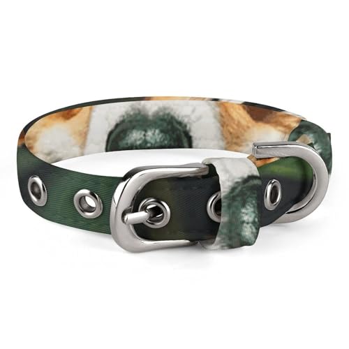 Hundehalsband mit tropischer Blume und Corgi, verstellbar, weich und bequem, Welpenhalsbänder mit Metallschnalle, Haustierhalsband für kleine, mittelgroße Haustiere von DWVSFJM