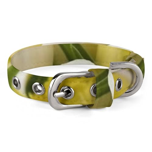 Hundehalsband mit verschiedenen Blumen, verstellbar, weich und bequem, mit Metallschnalle, Haustierhalsband für kleine, mittelgroße Haustiere von DWVSFJM